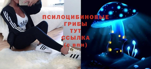 твердый Армянск