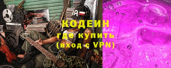молекула духа Арсеньев