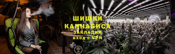 молекула духа Арсеньев