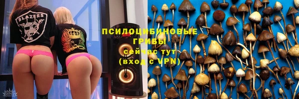 твердый Армянск