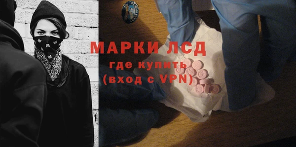молекула духа Арсеньев